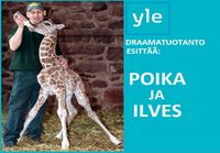 Poika ja Ilves