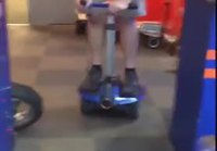 Segway koira