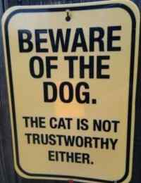 Beware of cat and dog