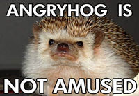 angryhog