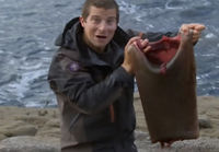 Bear Grylls