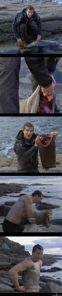 Bear Grylls