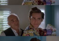 Ace ventura