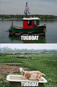 Tugboat - tubgoat