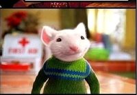 Stuart Little