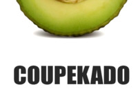 Avokado