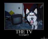 The TV