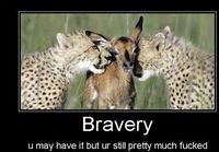 Bravery