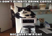 I don't always drink coffee