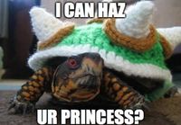 I can haz ur princess?