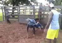 Rodeo