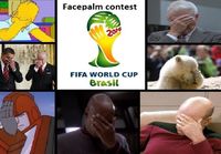 2014 FIFA World Cup