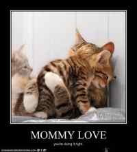 Mommy love