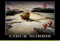 Chick Norris