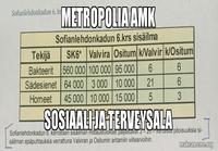 Opiskelua Metropoliassa