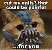 Bane kitty