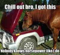 Horsepower