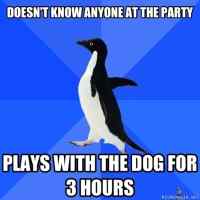 Socially awkward penguin at a party