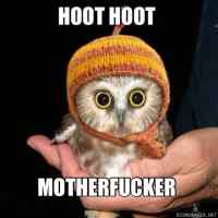 Hoot hoot!