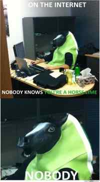 On the internet nobody knows