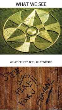 Crop circles