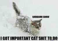 Goddamn snow..