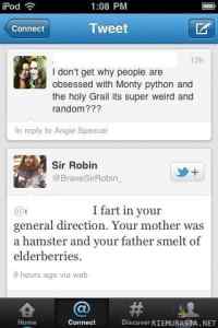 Sir Robin