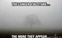 The longer you stare..