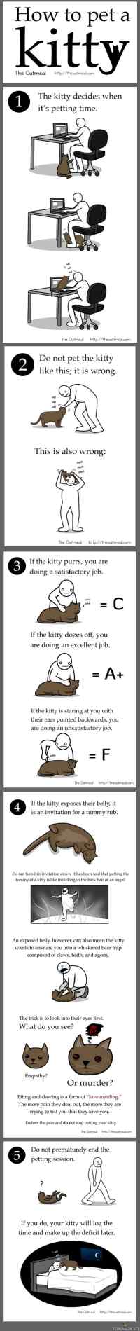 How to pet a kitty