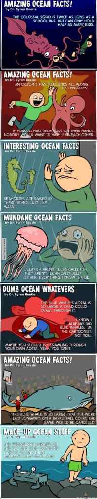 Amazing ocean facts