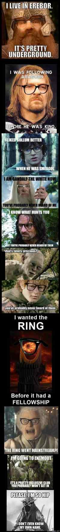 Hipster LOTR