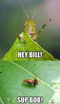 Hey Bill!