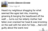 shagging neighbours