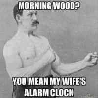 Morning wood