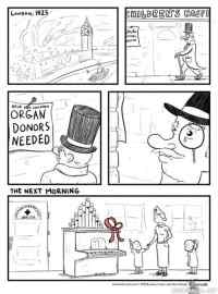 Organ donor