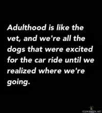 Adulthood