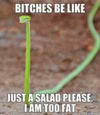 Just salad please