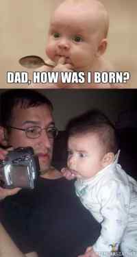 How I was born?