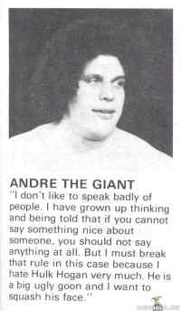 Andre the giant