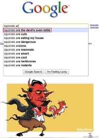 Googlen hakuehdotukset - Oravat ovat paholaisen uunikintaita ja sillee