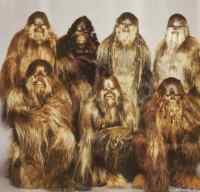 Perhepotretti - Mutta kuka kuvassa onkaan Chewbacca?