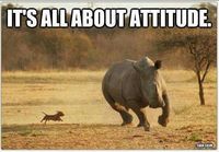 Attitude