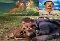 Bear Grylls