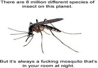 Mosquitoes