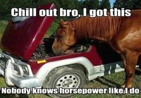 Horsepower