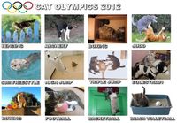 Cat olympics