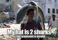 Your argument is invalid