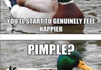 Advice duck