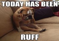 Ruff day