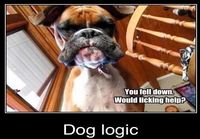 Dog logic